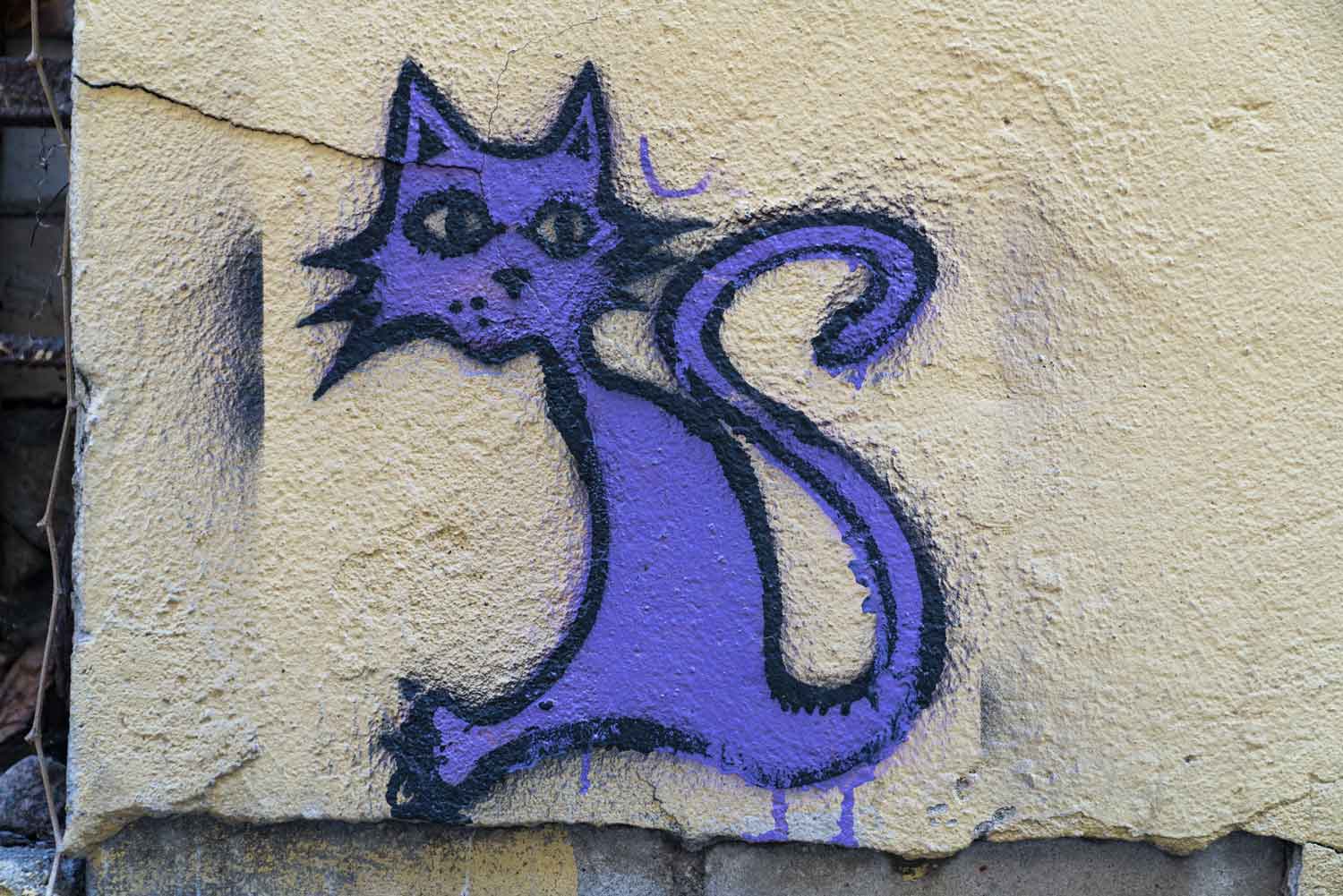 KATINĖLIS • džempas