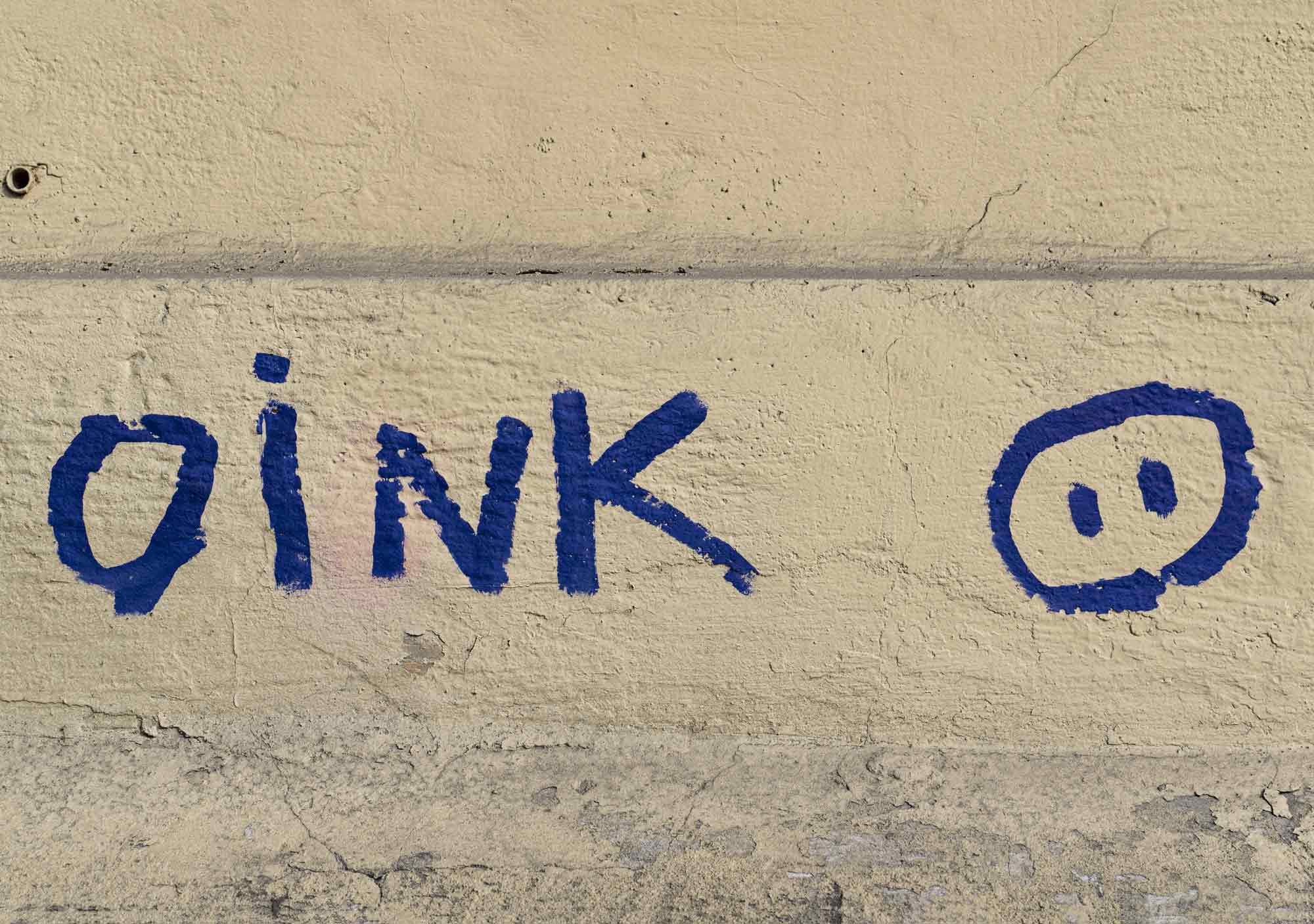 OINK • marškinėliai